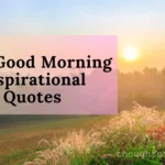 Best Good Morning Inspirational Quotes