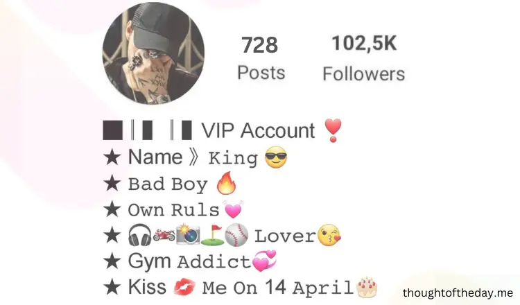 Instagram bios for boys-thoughtoftheday