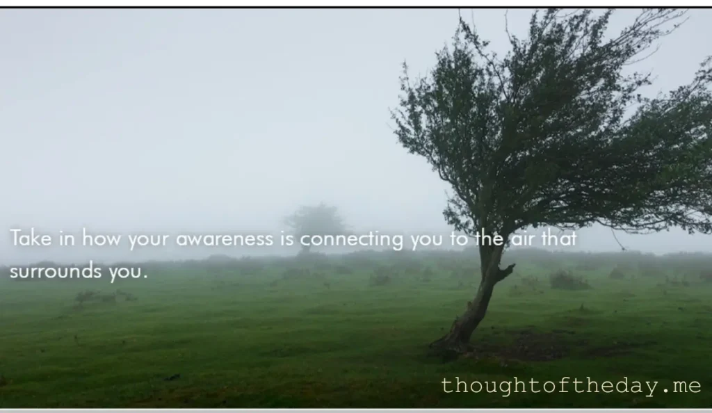 Thoughts of the day - awareness. - Tim Fargo